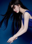2008年任委副、